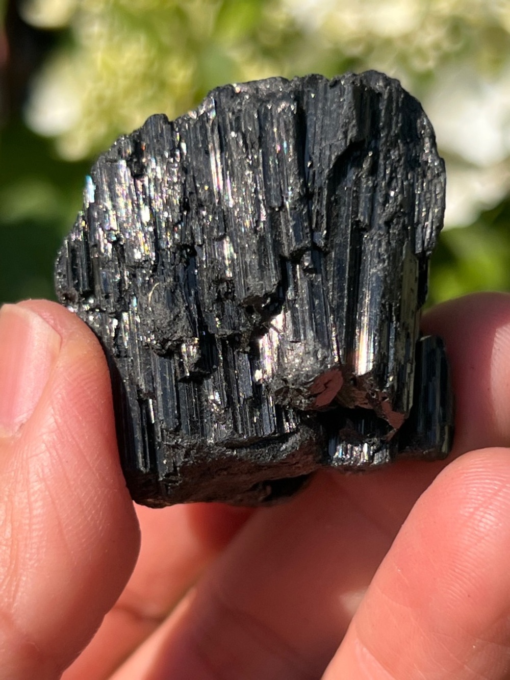 Black (1) tourmaline specimen | crystal